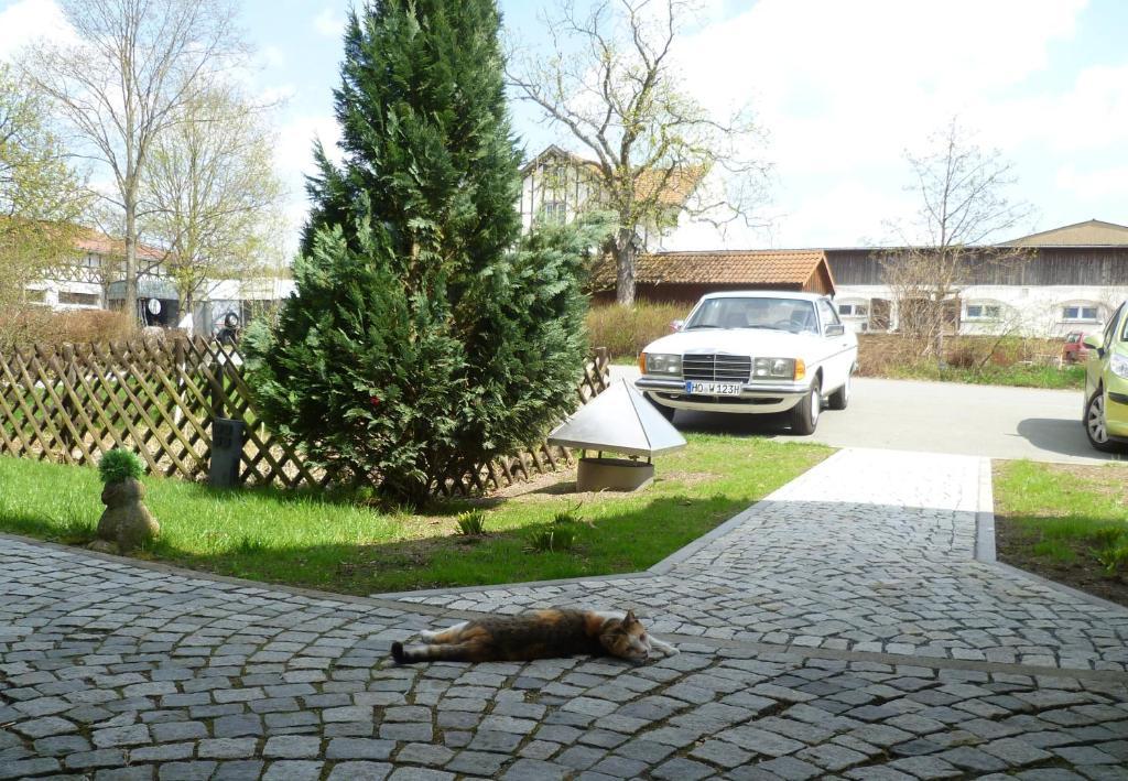 Landhotel Gut Haidt Hof  Extérieur photo